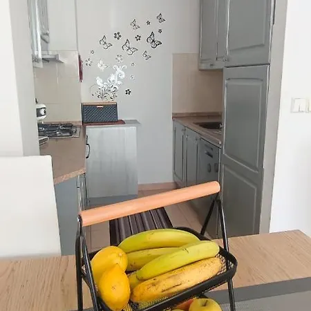 Apartment Nikolic *