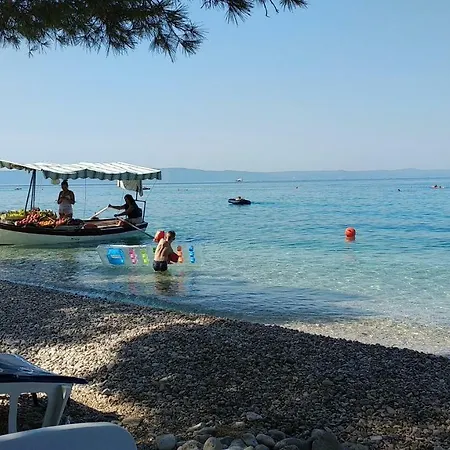 Nikolic *